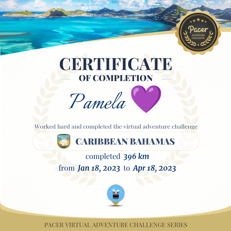 Pamela 💜 post 1