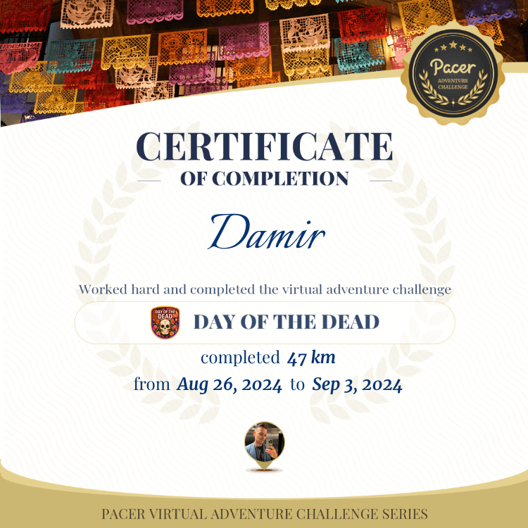 Damir post 1
