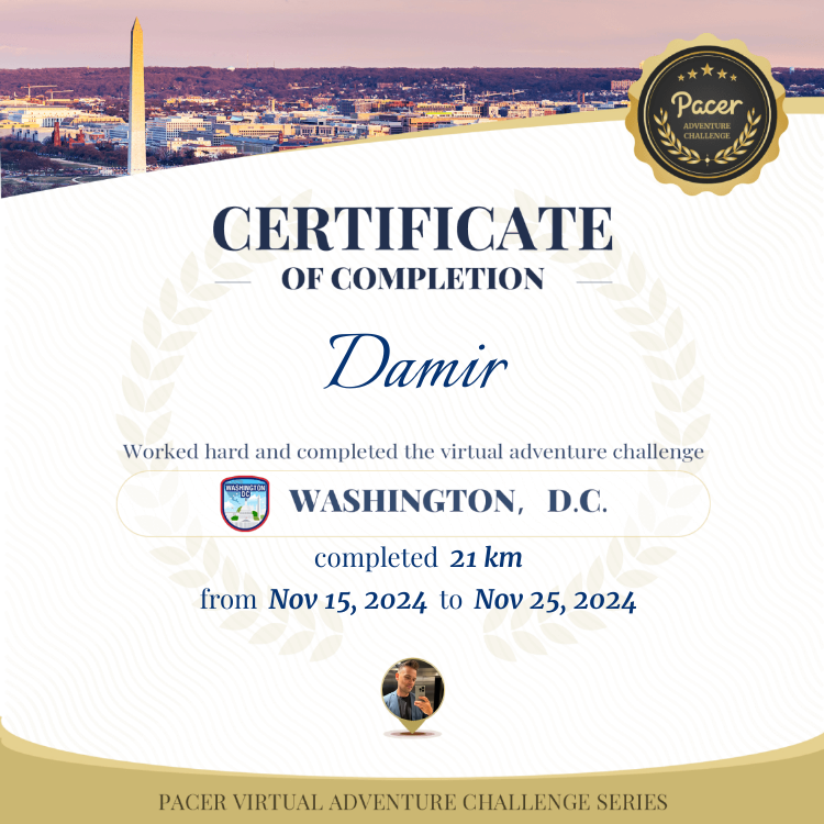 Damir post 1