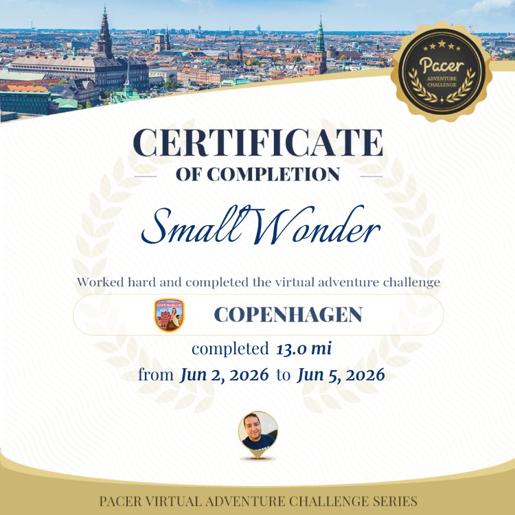 SmallWonder post 1