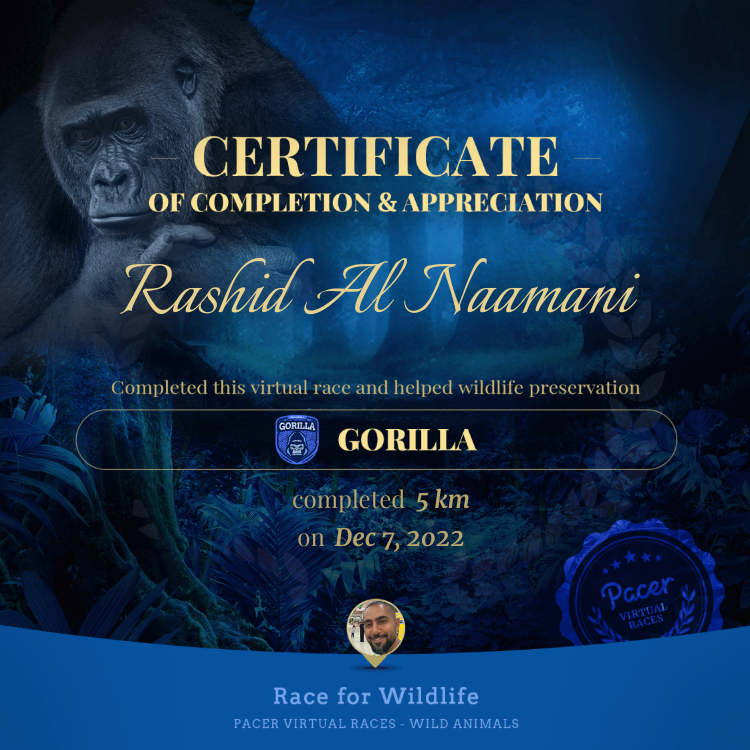 Rashid Al Naamani post 1