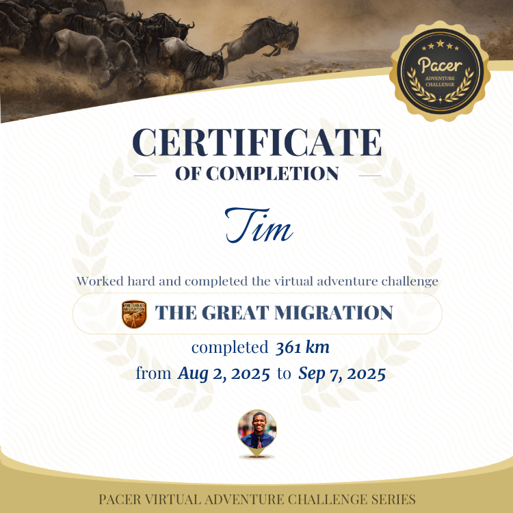 Tim post 1