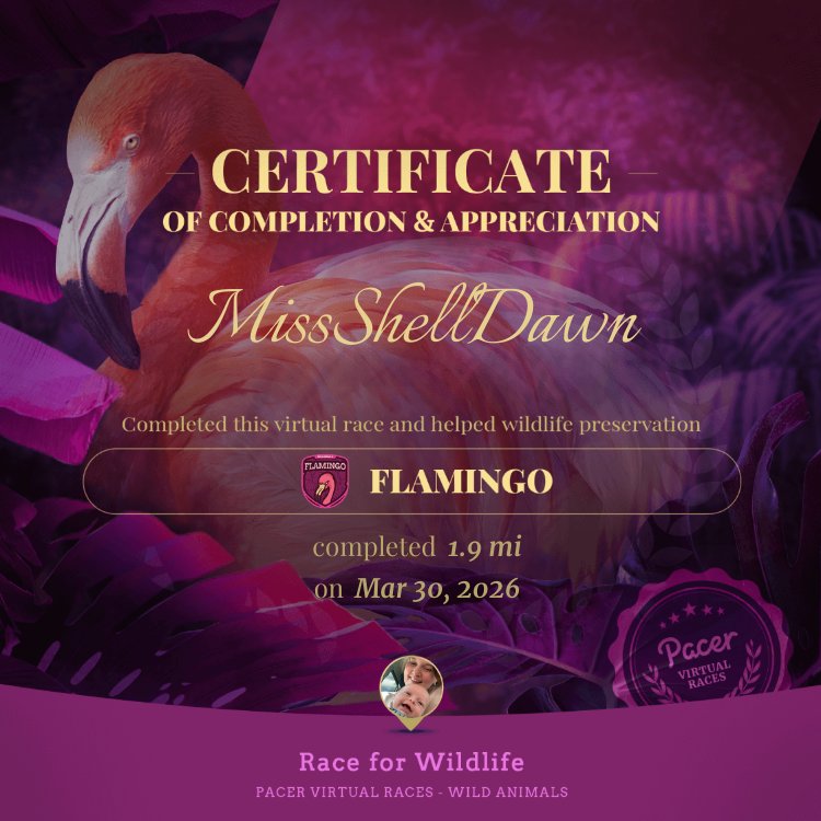 MissShellDawn post 1