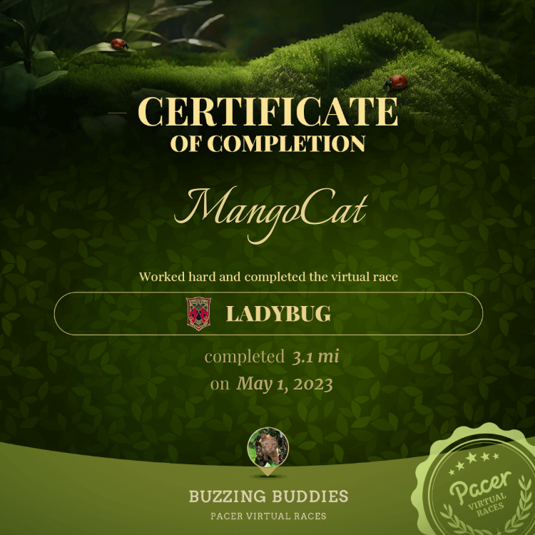 MangoCat post 1
