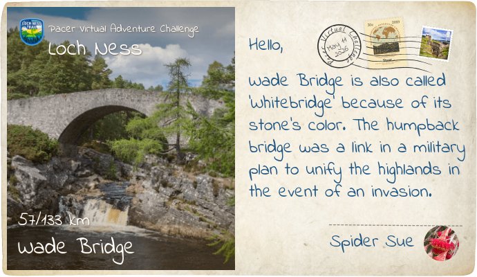Spider Sue post 1
