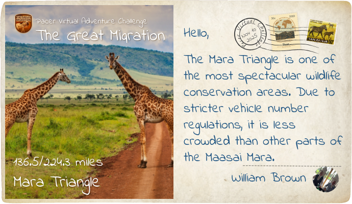 William Brown post 1