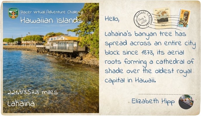 Elizabeth Hipp post 1