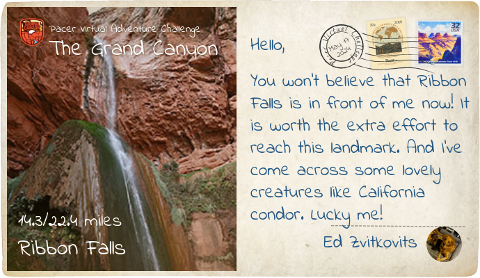 Ed Zvitkovits post 1