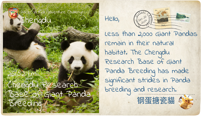 钢蛋搪瓷貓 post 1