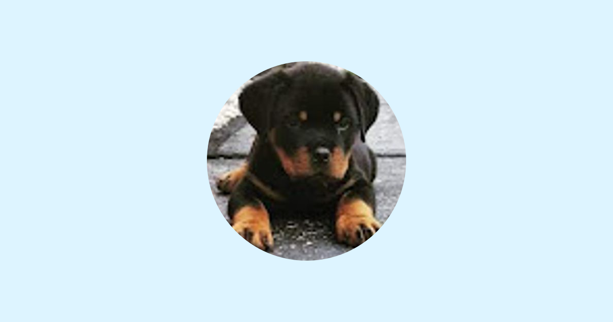 Russella Russella on Pacer Walking App