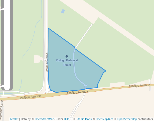 Pialligo Redwood Forest