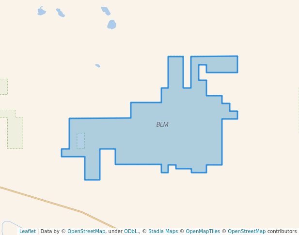 walking in BLM map in Harlem