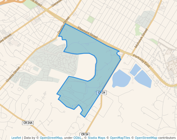 Roscoe Conkling Park