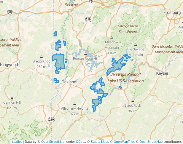 Potomac/Garrett State Forest
