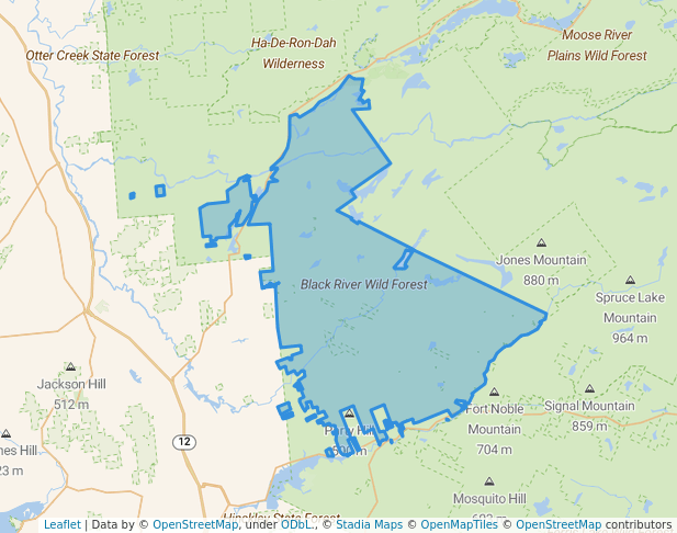 Black River Wild Forest