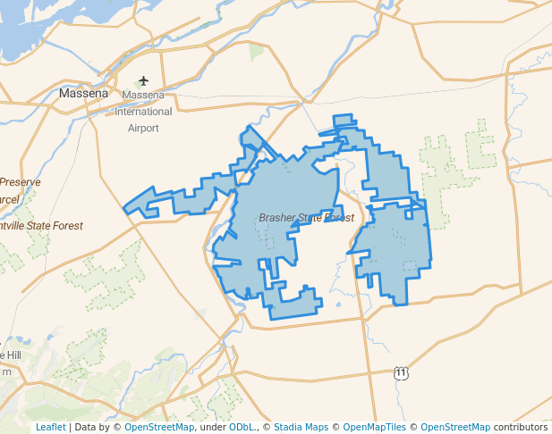 Brasher State Forest