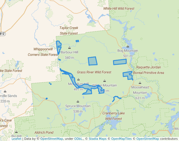 Grass River Wild Forest