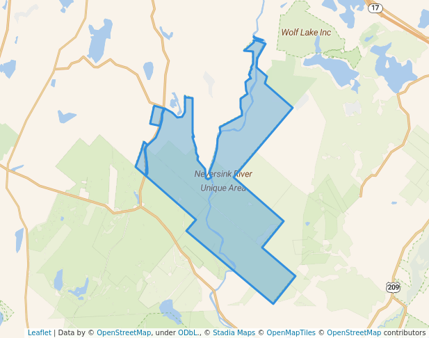 Neversink River Unique Area