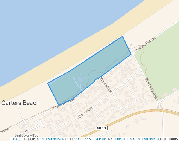 Carters Beach Domain