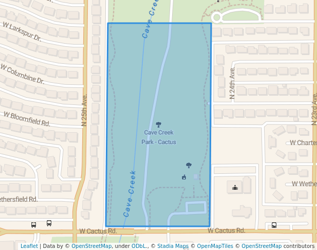 Cave Creek Park - Cactus