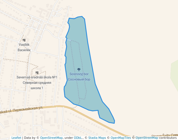 Сосновый бор