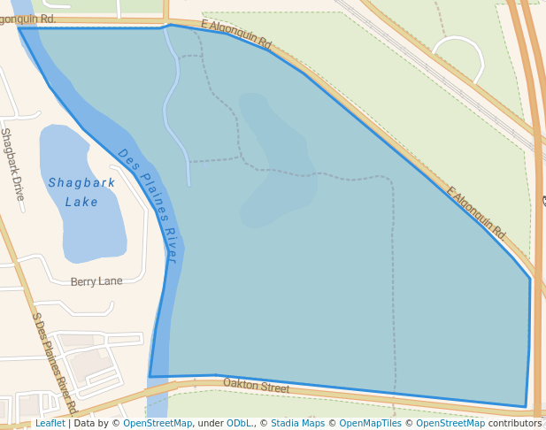 Campground Road Woods