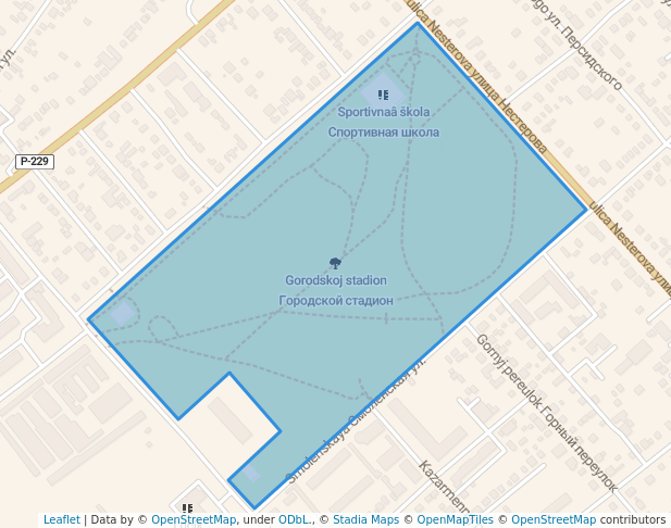 Городской стадион