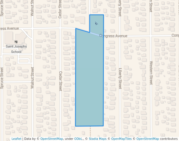 Congress Avenue Athletic Park