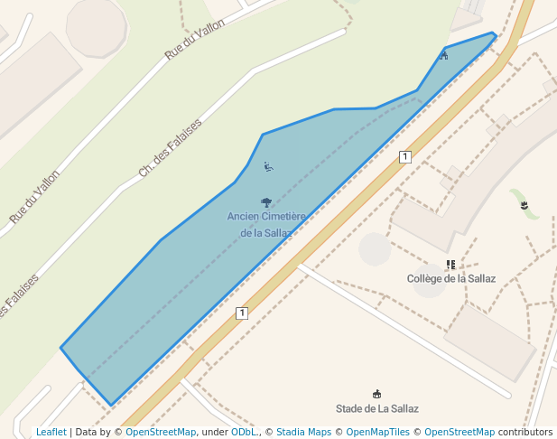 Ancien Cimetière de la Sallaz