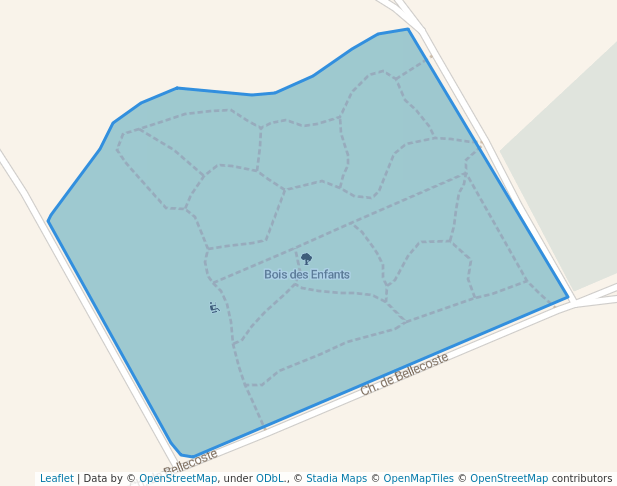 Bois des Enfants