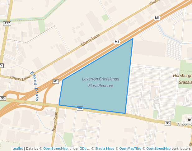 Laverton Grasslands Flora Reserve