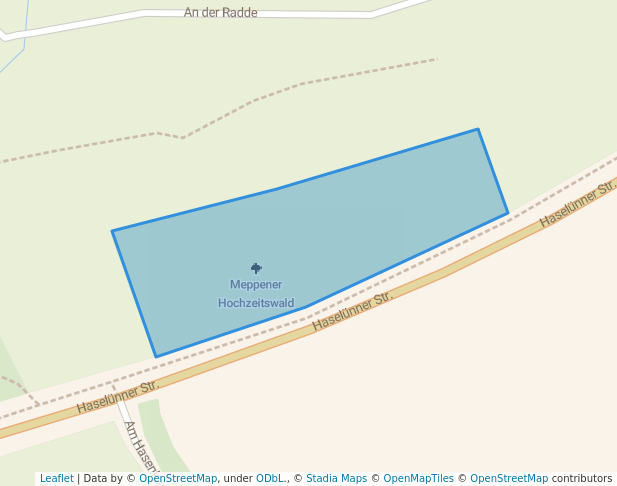 Meppener Hochzeitswald