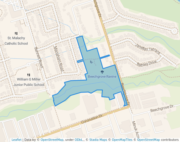 Beechgrove Ravine