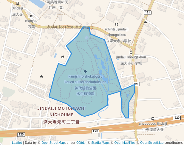 神代植物公園 水生植物園