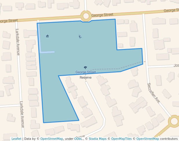 George Street Reserve