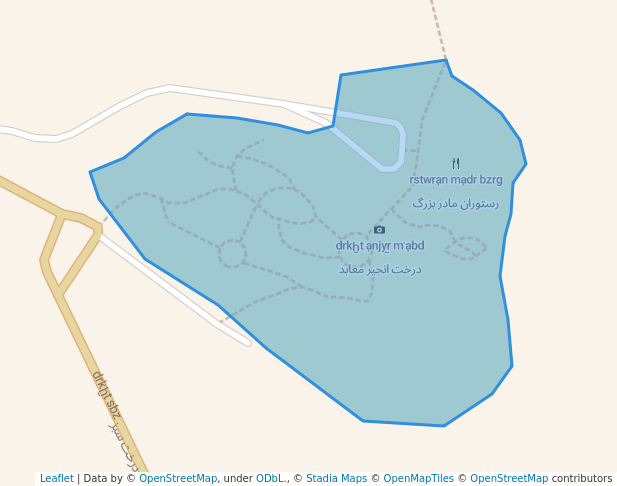 پارک درخت سبز