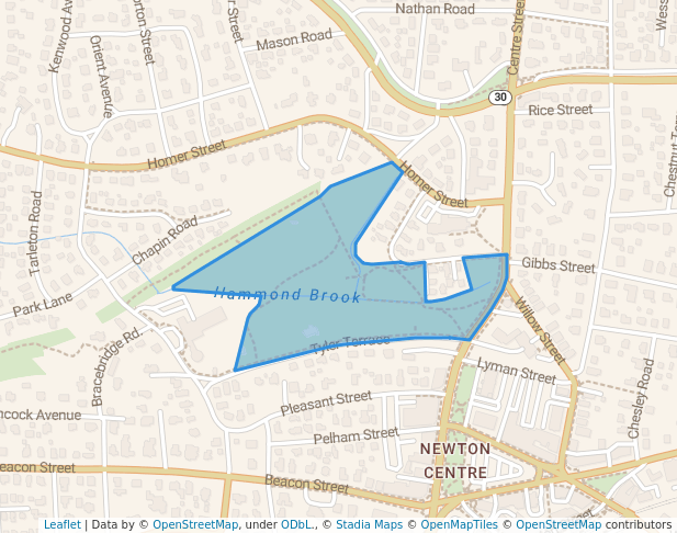 Newton Centre Playground