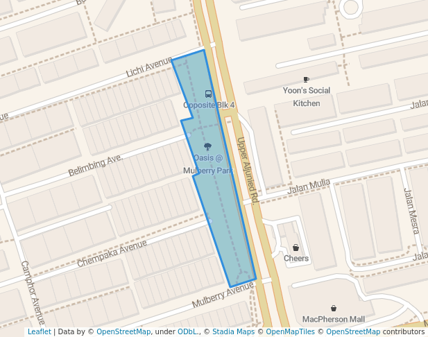 Oasis @ Mulberry Park