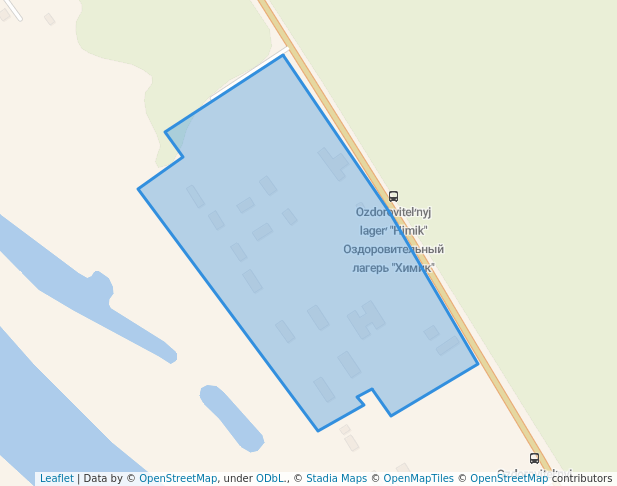 Детский спортивный лагерь "Химик"