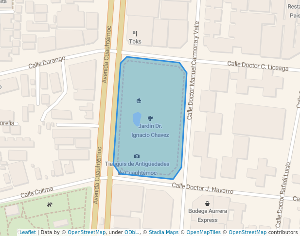Jardín Dr. Ignacio Chavez