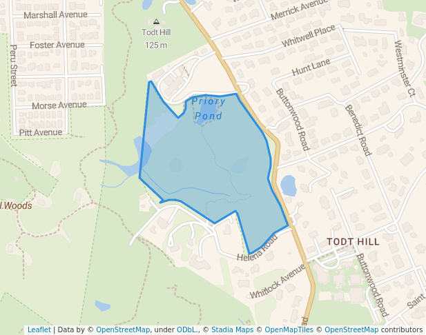 Saint Francis Woodlands