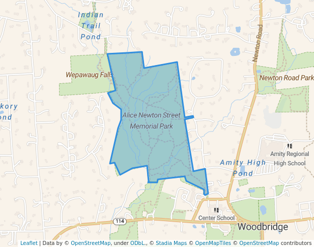 Alice Newton Street Memorial Park