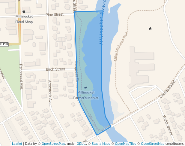walking in Crandall Park map in Millinocket