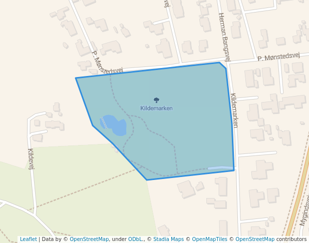 Kildemarken