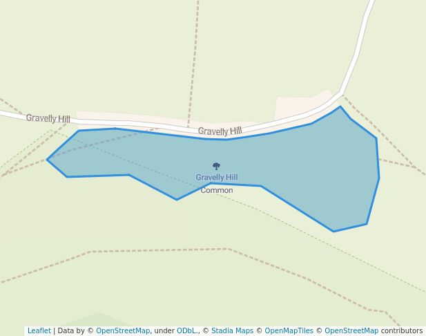 Gravelly Hill Common