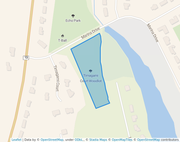 Timagami Court Woodlot