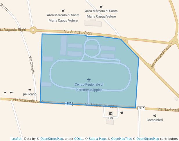 Centro Regionale di Incremento Ippico