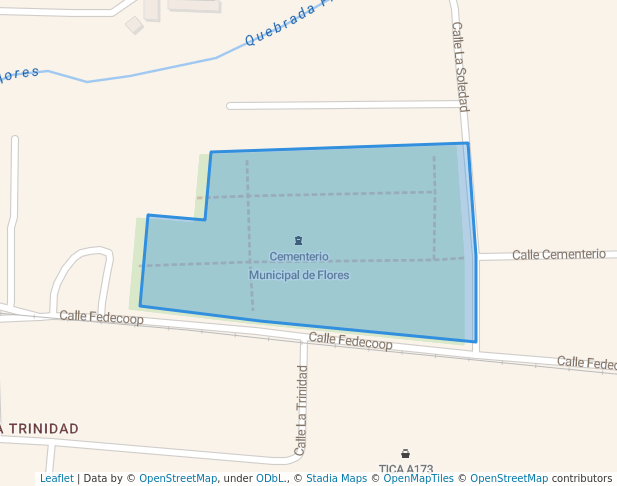 Cementerio Municipal de Flores