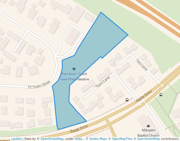 Court Town Place Reserve