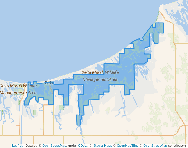 walking in Delta Marsh Wildlife Management Area map in Tin Town